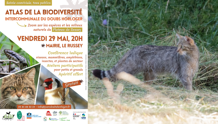 Soirée ABI Doubs-Horloger au Russey